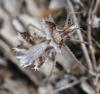 237561 – Photo : Christine Delbouis – France (43)
