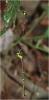 237864 – Photo : Benoit Guillon – Vietnam