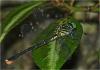 237526 – Photo : Benoit Guillon – Vietnam