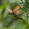 237437 – Photo : Nicolas Helitas – Croatie