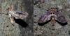237905 – Photo : Norbert Verneau – Mayotte
