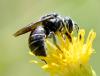 238080 – Photo : Bernard Ginesy – France (13)