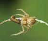 238444 – Photo : Yoann Pelouard – France (05)