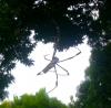 238586 – Photo : Txapeldun – Costa Rica