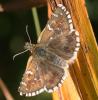 238423 – Photo : Yoann Pelouard – France (05)