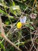 238503 – Photo : Pauline Bely – France (17)