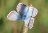 238371 – Photo : Stephane FERNANDES – France (74)