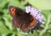 238388 – Photo : Stephane FERNANDES – France (74)