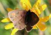 238489 – Photo : Stephane FERNANDES – France (74)