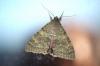 238671 – Photo : alain Roujas – France (31)