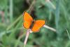 238096 – Photo : Gerard VIGO – France (73)