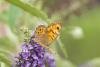 238016 – Photo : florent besson – France (18)