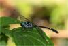 238926 – Photo : Benoit Guillon – Vietnam