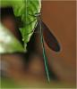 238192 – Photo : Benoit Guillon – Vietnam