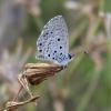 238348 – Photo : Norbert Verneau – Mayotte
