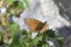 239267 – Photo : florent besson – France (64)