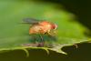239906 – Photo : Pierre Duhem – France (24)