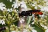 239789 – Photo : Pierre Duhem – France (73)