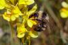 239478 – Photo : Pierre Duhem – France (73)