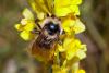 239480 – Photo : Pierre Duhem – France (73)