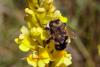239479 – Photo : Pierre Duhem – France (73)
