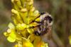 239476 – Photo : Pierre Duhem – France (73)