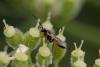 239568 – Photo : Pierre Duhem – France (73)