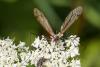 239968 – Photo : Pierre Duhem – France (73)