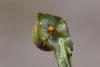 239387 – Photo : Pierre Duhem – France (22)