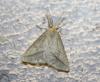 239949 – Photo : alain Roujas – France (31)