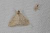 239486 – Photo : Fabricius – France (13)