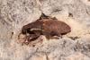 239883 – Photo : alain Roujas – Espagne