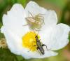 239800 – Photo : Liliane Delattre – France (30)