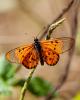 239723 – Photo : Mael De maisonneuve – Mayotte