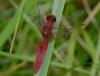 24043 – Photo : jean-claude bernard – France (29)