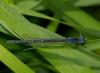 24341 – Photo : jean-claude bernard – France (29)