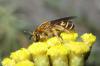 24744 – Photo : Vincent Lefebvre – France (20)