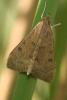 24766 – Photo : pendruc – France (83)