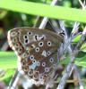24344 – Photo : anarky – France (91)