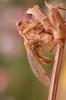 24463 – Photo : basc – France (20)