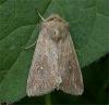 24400 – Photo : Pelouard – France (72)