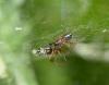 240861 – Photo : Bernard Ginesy – France (13)