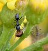 240744 – Photo : Bernard Ginesy – France (13)