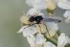240800 – Photo : Pierre Duhem – France (73)
