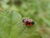 240451 – Photo : Maria Justamond – France (59)