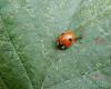 240356 – Photo : Maria Justamond – France (59)