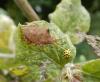 240353 – Photo : Maria Justamond – France (59)