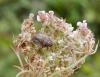 240745 – Photo : Maria Justamond – France (59)