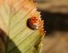 240614 – Photo : Maria Justamond – France (62)