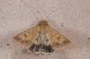 240012 – Photo : Fabricius – France (13)